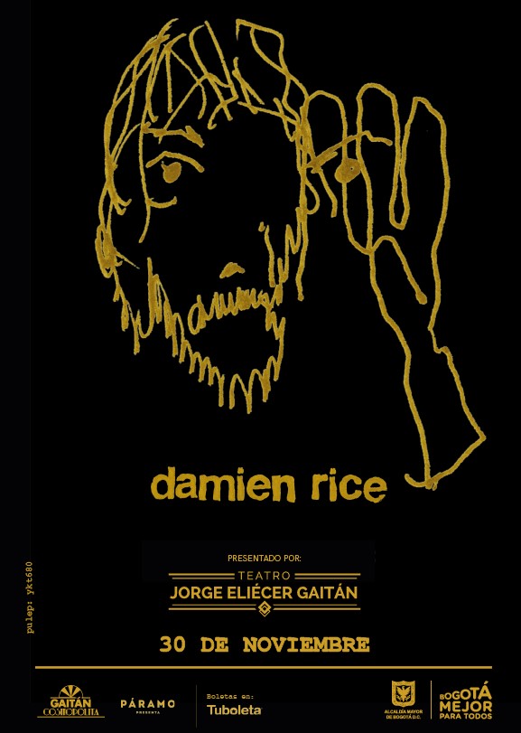 Afiche Damien Rice