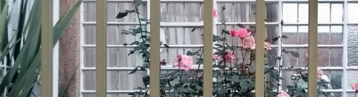 Metrocuadrado - un jardín tras una reja con ventanas al fondo