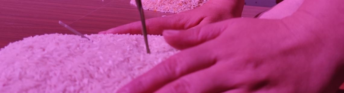 Manos de artista sobre montón de arroz