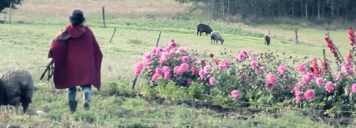 Fotograma cine Mujer en el campo