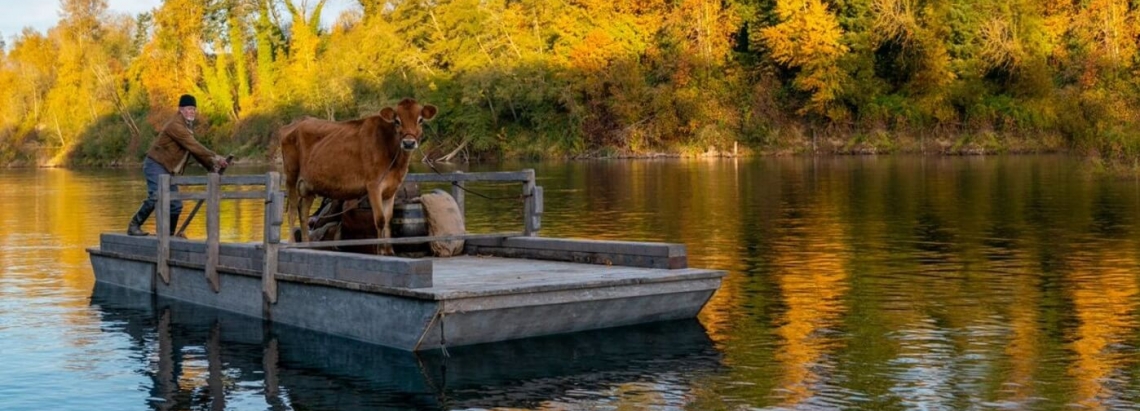 hombre en una balsa con una vaca