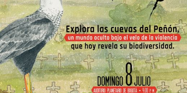 Franja documental Colombia - Bio Poster
