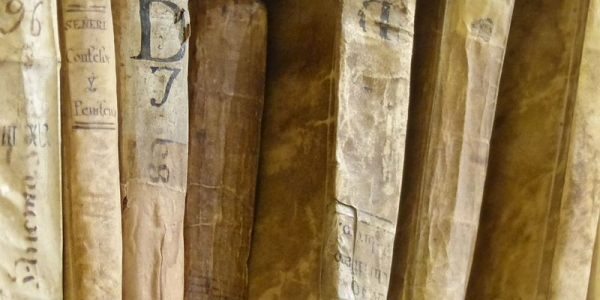 Libros antiguos en una estatntería - Fotografía de Wikimedia Commons.