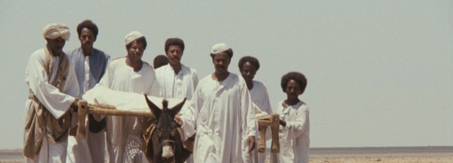 10.ª Muestra Afro: afrofeminismos, saberes ancestrales, memoria y narrativa