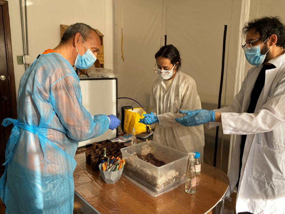 Sesión de cultivo en el laboratorio Materialidades conjuntas