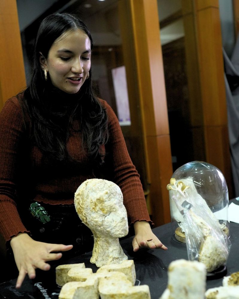 Circuito de activaciones: Proyectos experienciales desarrollados por los participantes