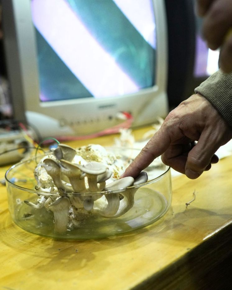 Circuito de activaciones: Proyectos experienciales desarrollados por los participantes