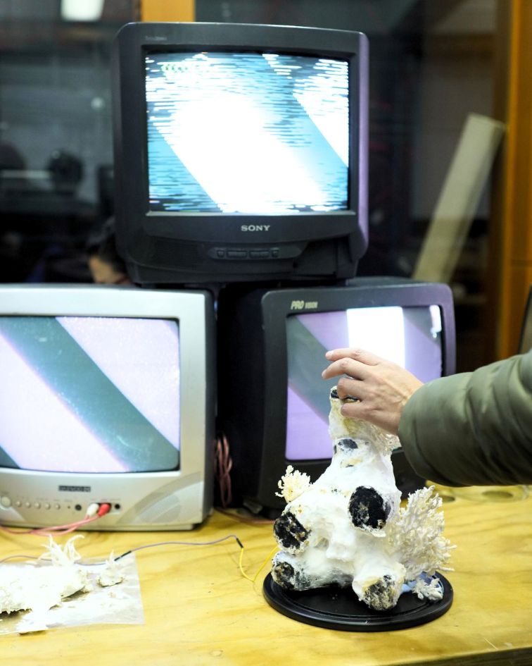 Circuito de activaciones: Proyectos experienciales desarrollados por los participantes