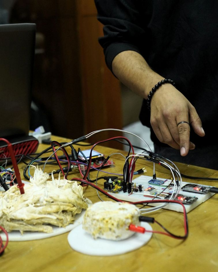 Circuito de activaciones: Proyectos experienciales desarrollados por los participantes