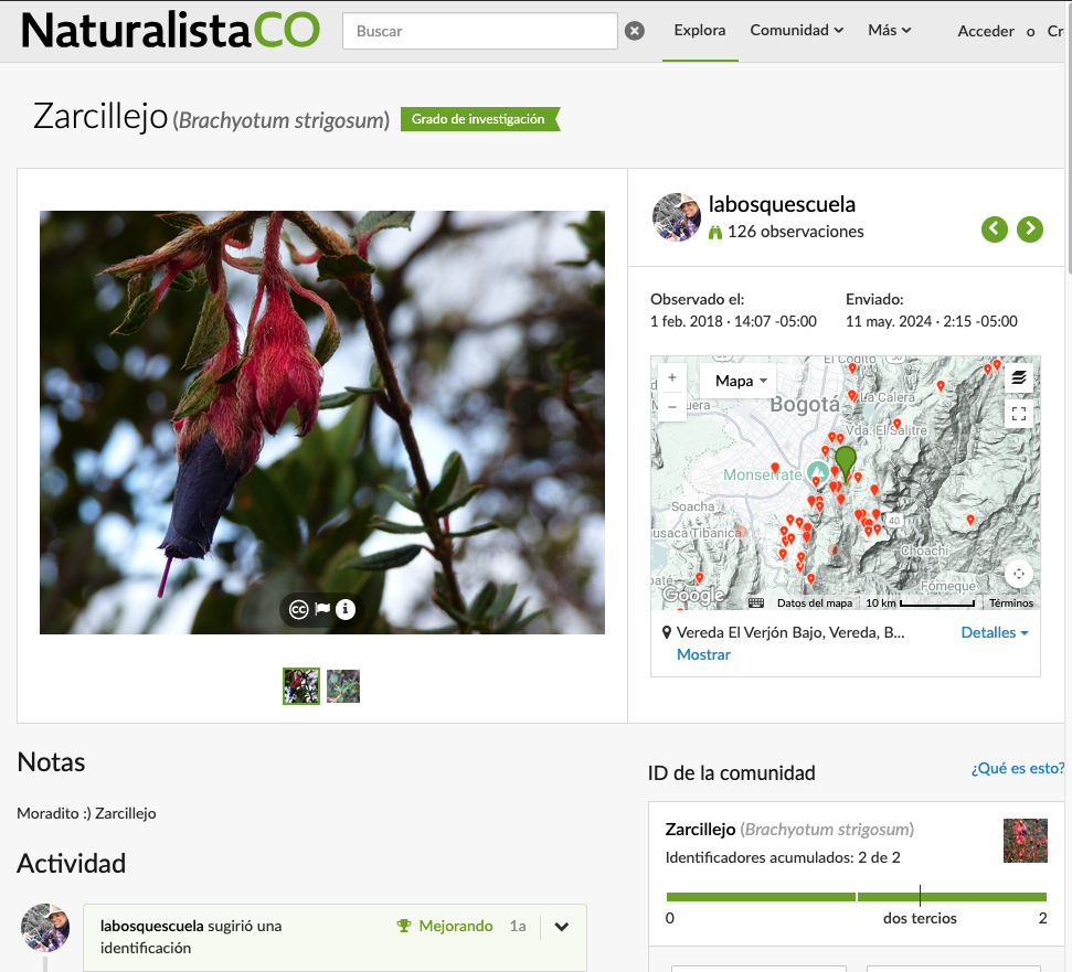 Registro de observaciones en iNaturalist Colombia