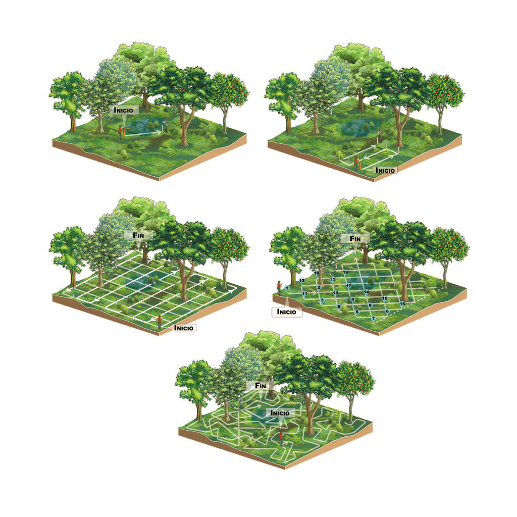 Trayectos dentro de una tesela