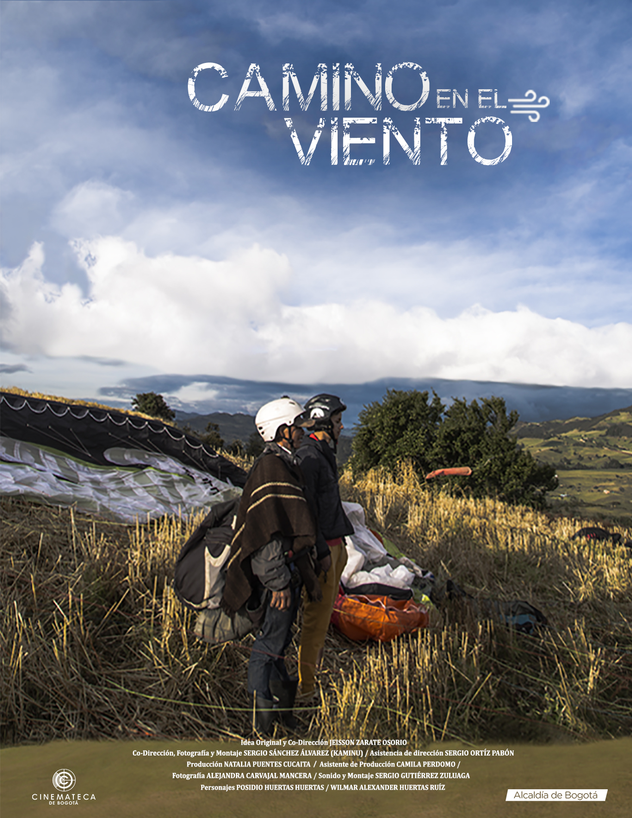 Afiche Camino en el viento