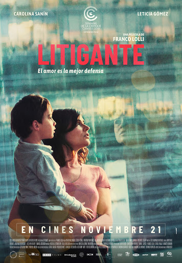 Poster de Litigante