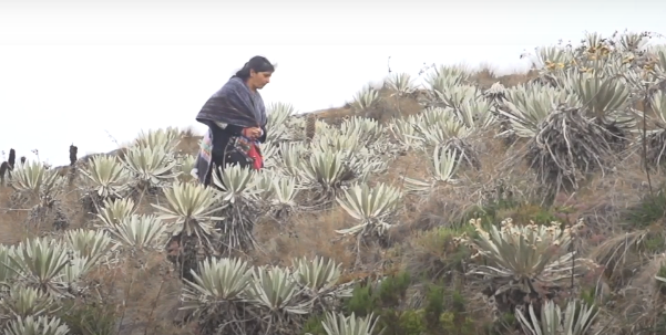 Mujer en el páramo