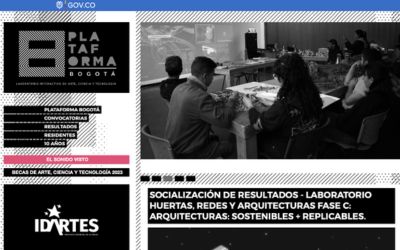 Captura de pantalla Plataforma Bogotá