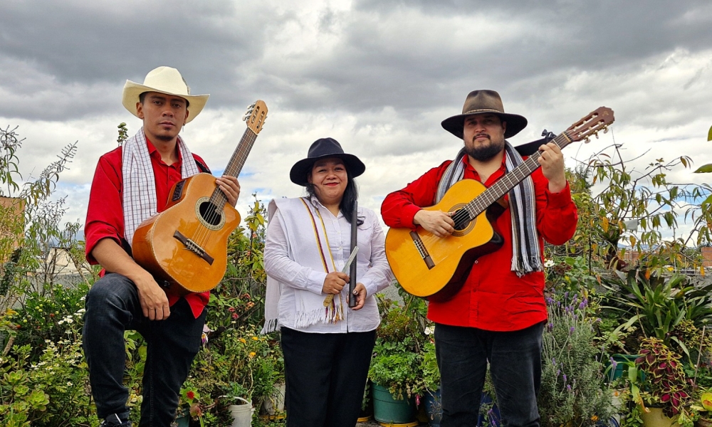 Programación diciembre