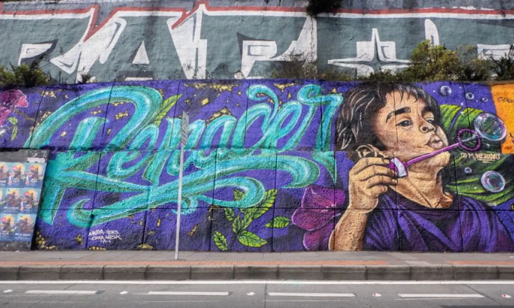grafiti en suba 
