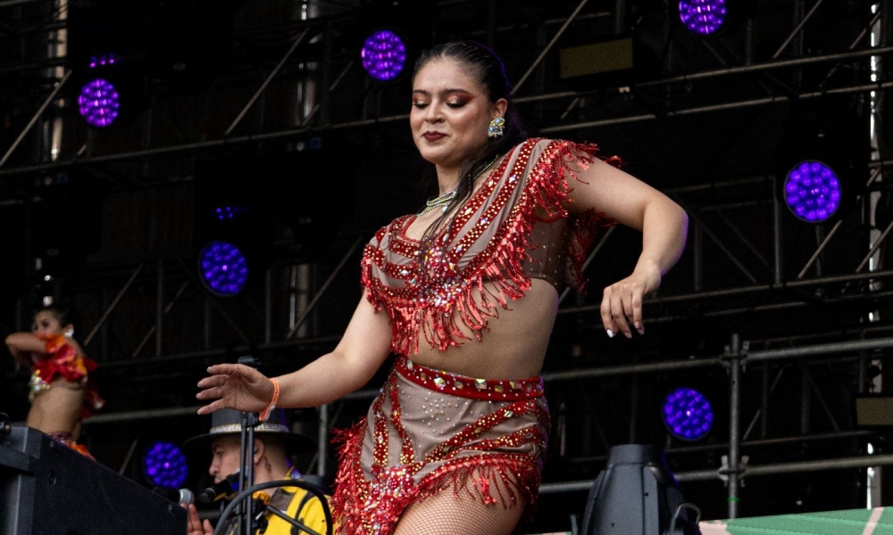 salsa al parque 2024