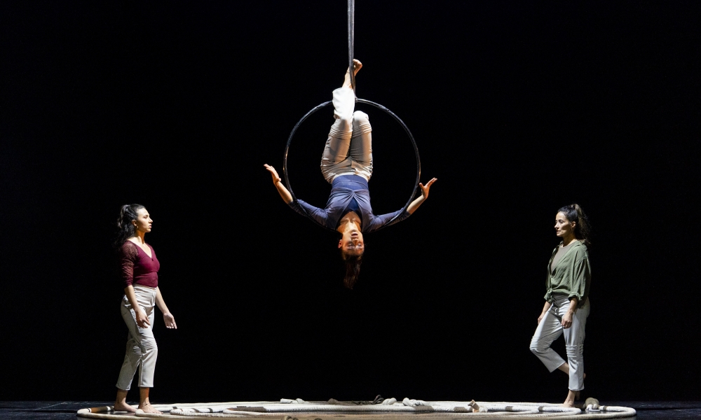circo debut 