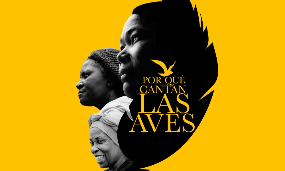 Afiche película Por qué cantan las aves Afiche película Por qué cantan las aves