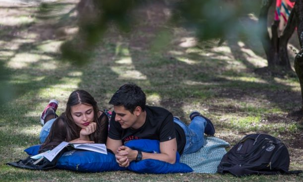Portafolio de Estímulos 2019 Pareja lee un libro.