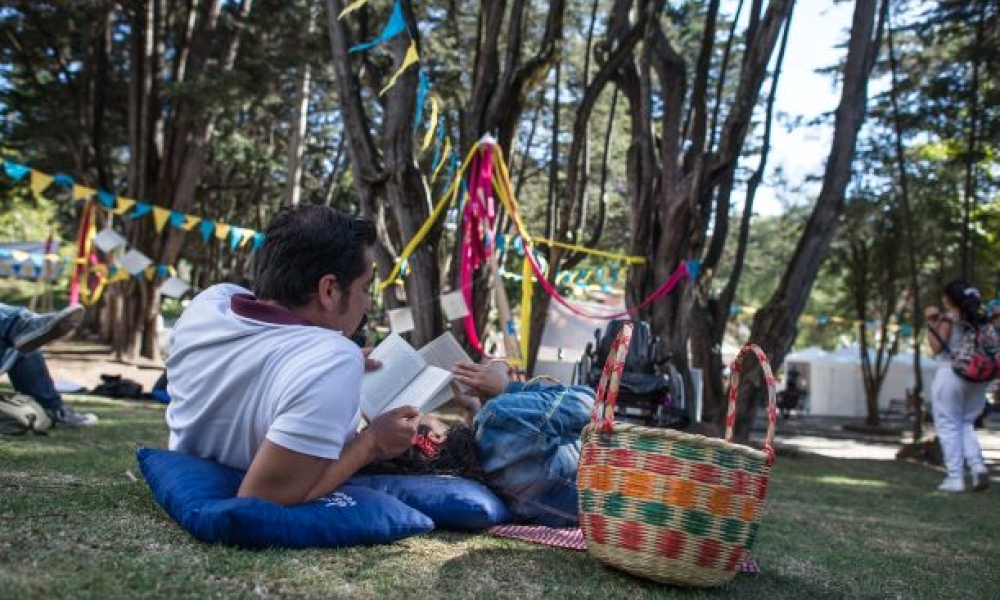 Lectura Bajo los Árboles Persona leyendo