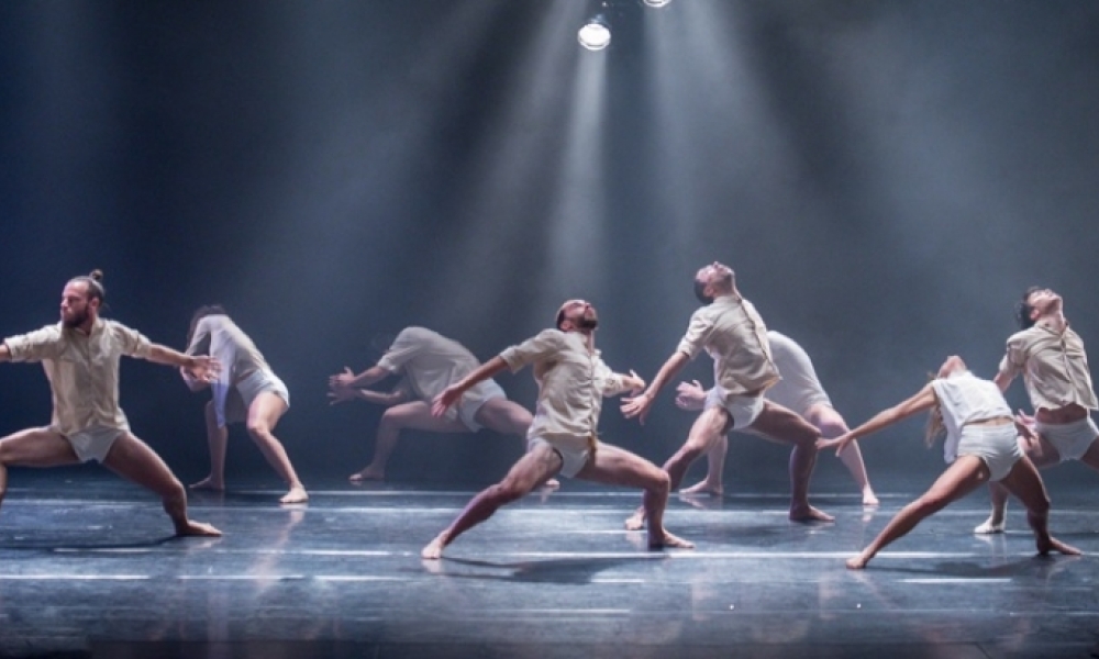 Grupo Danza Grupo Danza