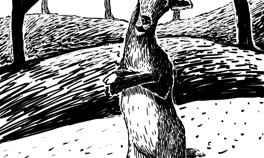 Fábulas de Tamalameque de Manuel Zapata Olivella. Ilustración: Rafael Yockteng. Fábulas de Tamalameque de Manuel Zapata Olivella. Ilustración: Rafael Yockteng.