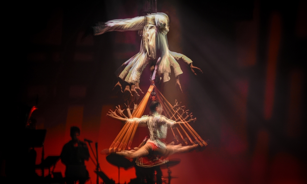 Festival de Teatro y Circo de Bogotá 2021 Festival de Teatro y Circo de Bogotá 2021