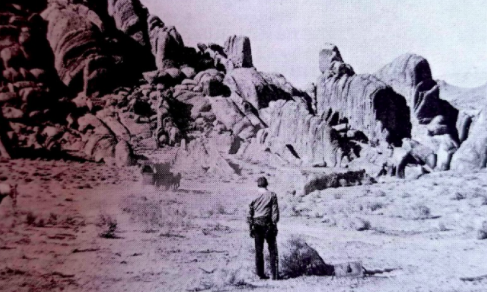 Western Vaquero en desierto