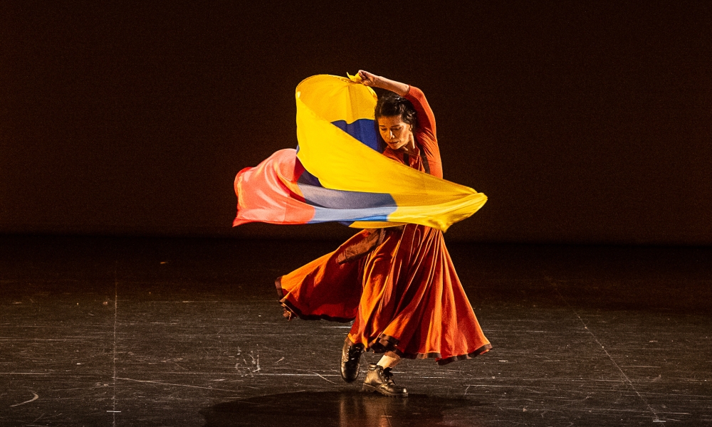 Escena de mujer con bandera
