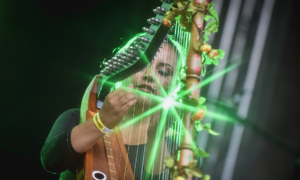 mujer tocando arpa mujer tocando arpa