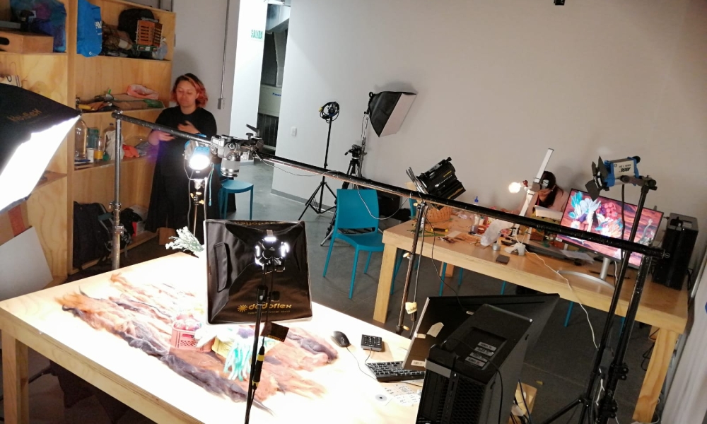 Taller de animación Cinemateca Rodante Mujer en un taller haciendo modelado