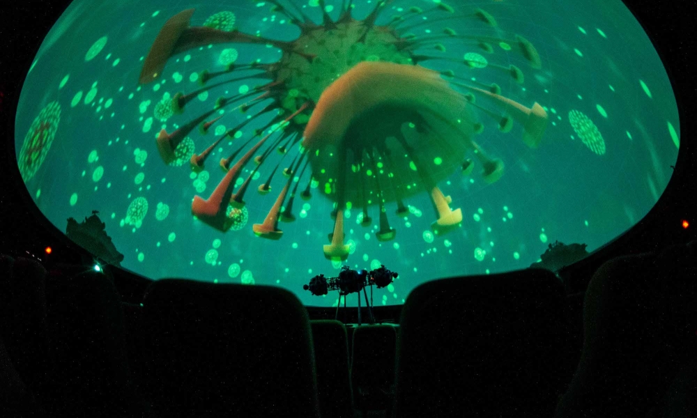Proyección en el domo del Planetario Proyección en el domo del Planetario