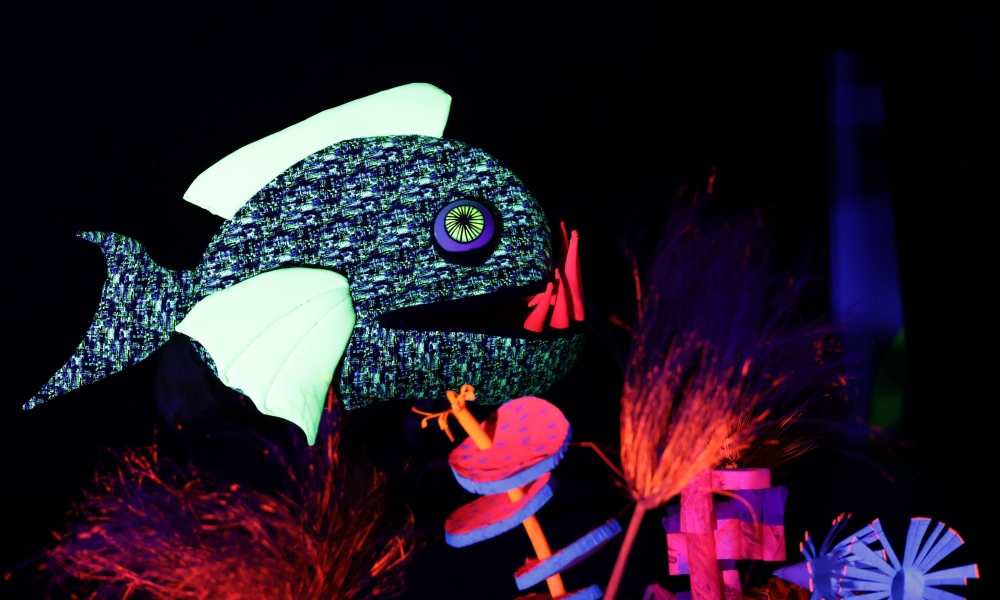 Pez en colores