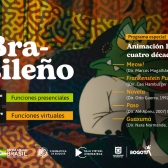 Programación Especial de animación 