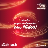 Pieza gráfica promocional de las actividades navideñas para la familia.