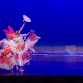 Danza folclor