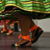 Danza folclor