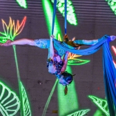 Danza aérea 