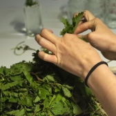 Con la Cuchara no se Juega - El fruto es un punto en la trama