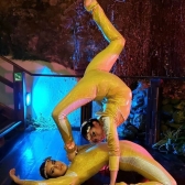 Artistas en escena