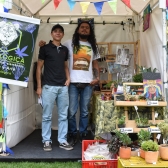 Emprendimientos 