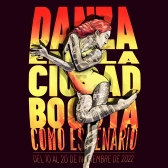 Imagen oficial - XV Festival Danza en la Ciudad