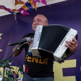 Músicos populares