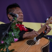 Músicos populares