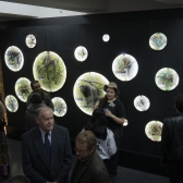 Exposición Salvando Primates en el Planetario de Bogotá