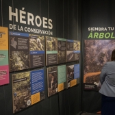 Exposición Salvando Primates en el Planetario de Bogotá