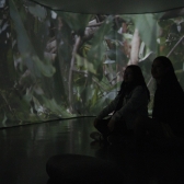 Exposición Salvando Primates en el Planetario de Bogotá