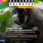 Pieza gráfica promocional – Especie churuco